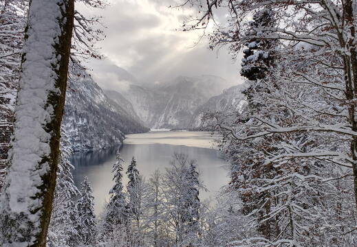 IMG 20170115 141641198 HDR